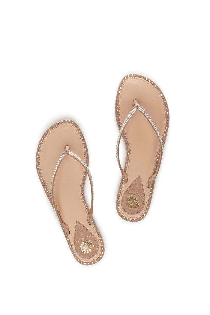 Daisey Thong Sandal in Blush