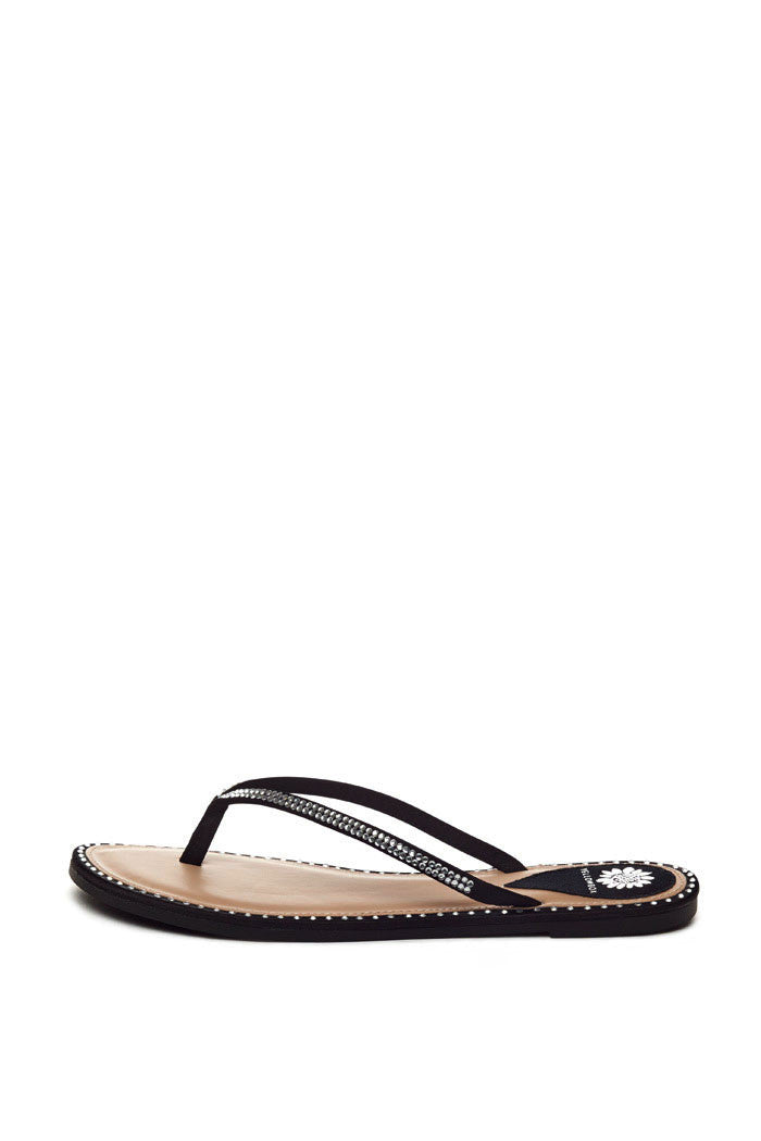 Daisey Thong Sandal in Black