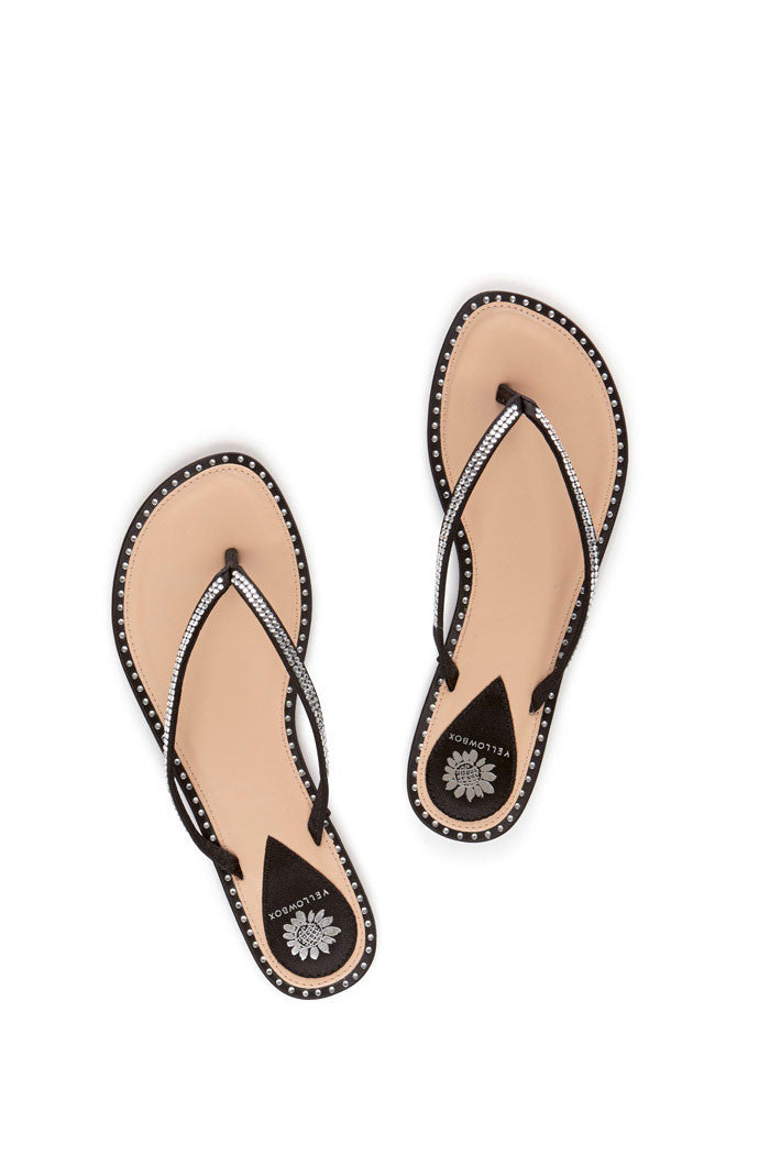 Daisey Thong Sandal in Black