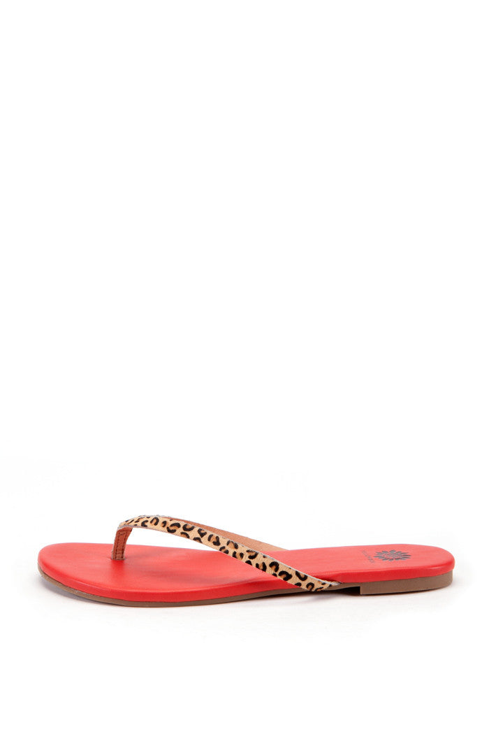 Ohanna Thong Sandal in Cheetah