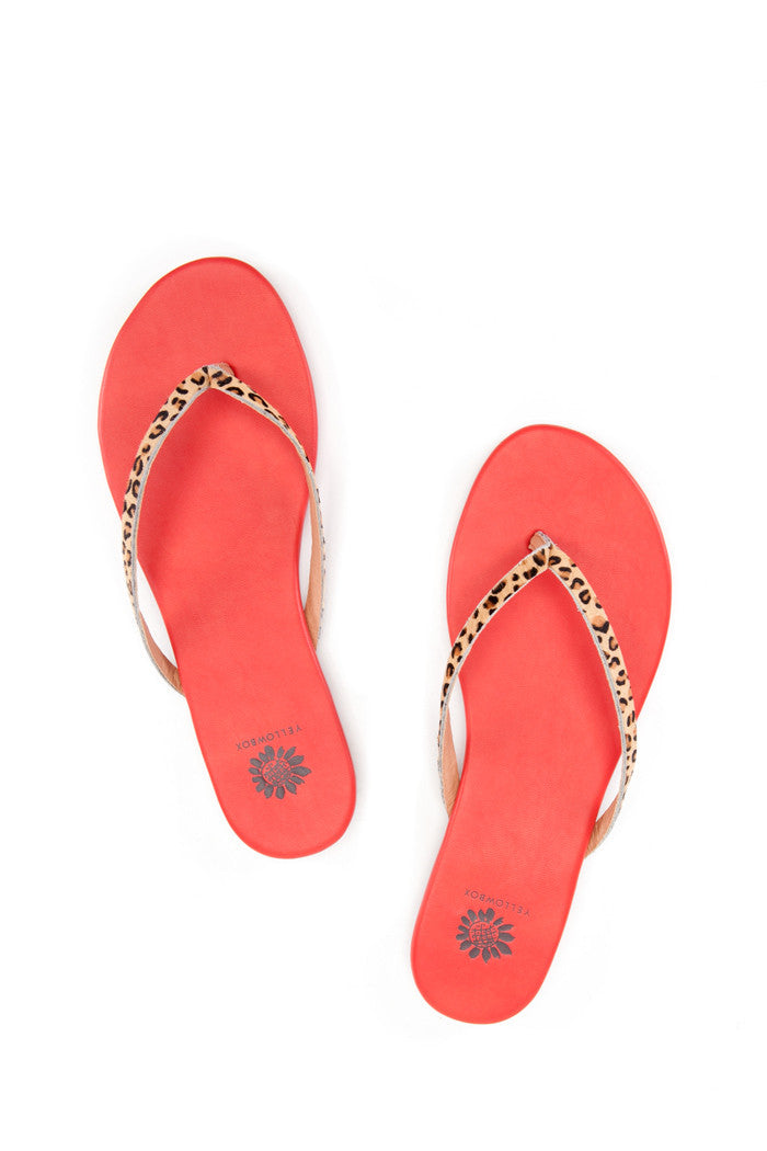 Ohanna Thong Sandal in Cheetah