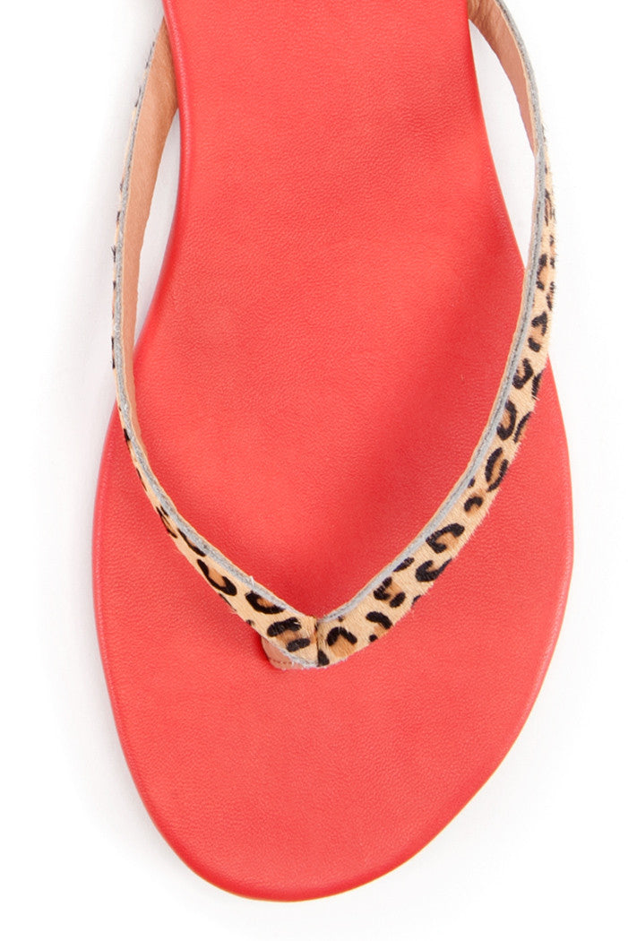 Ohanna Thong Sandal in Cheetah