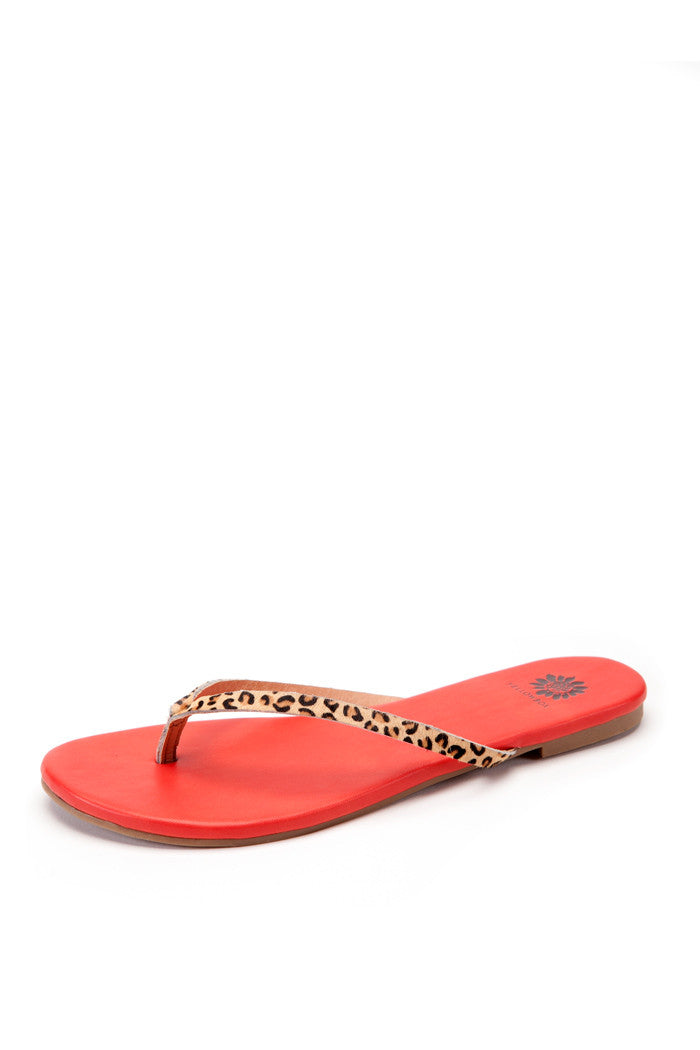 Ohanna Thong Sandal in Cheetah